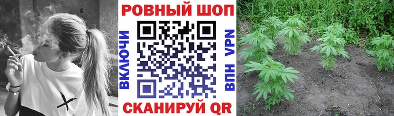 Как найти закладки Кадников ТГК  Бошки Шишки  Cocaine  А ПВП  АМФ 