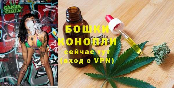 дживик Вязьма