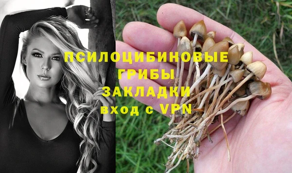 дживик Вязьма