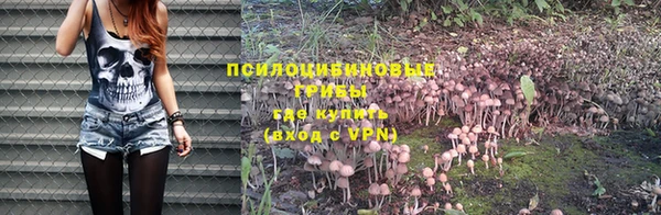 гидра Володарск