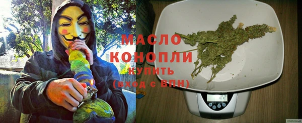 гидра Володарск