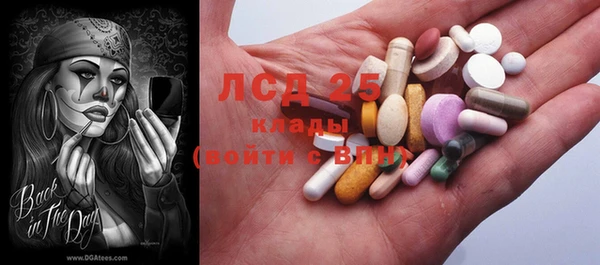 гидра Володарск