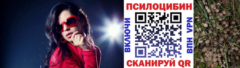 Псилоцибиновые грибы мицелий  как найти наркотики  Кадников 